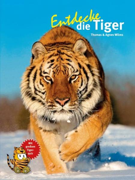 Entdecke die Tiger